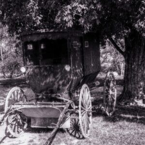 カニを調理するのに包丁を使わない方法は？