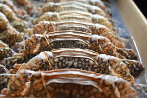 冷凍カニを美味しく食べるためのコツは？