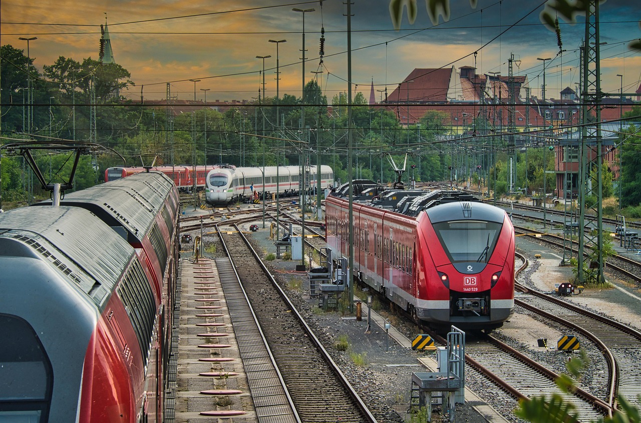 タラバガニとズワイガニの味を比較した場合、どちらが美味しい？