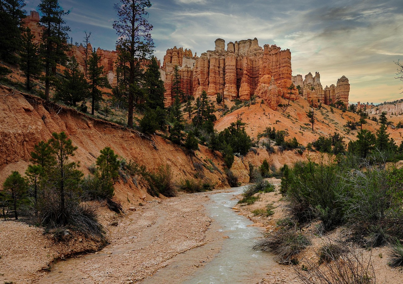 本ズワイガニと紅ズワイガニの違いは何ですか？