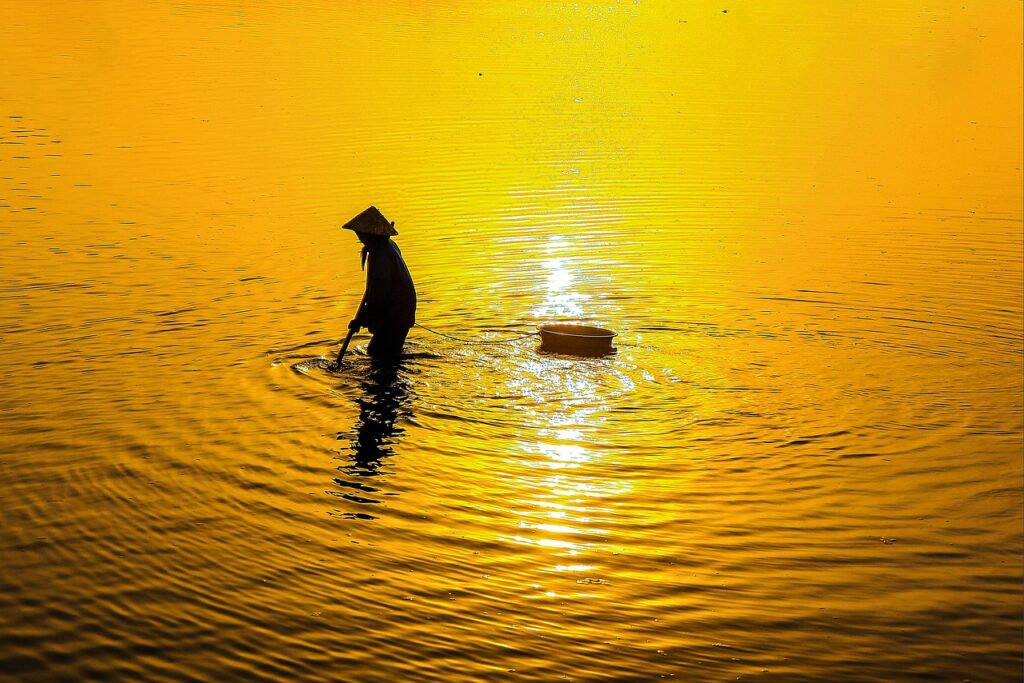 年末に楽しむカニの産地直送の魅力とは？