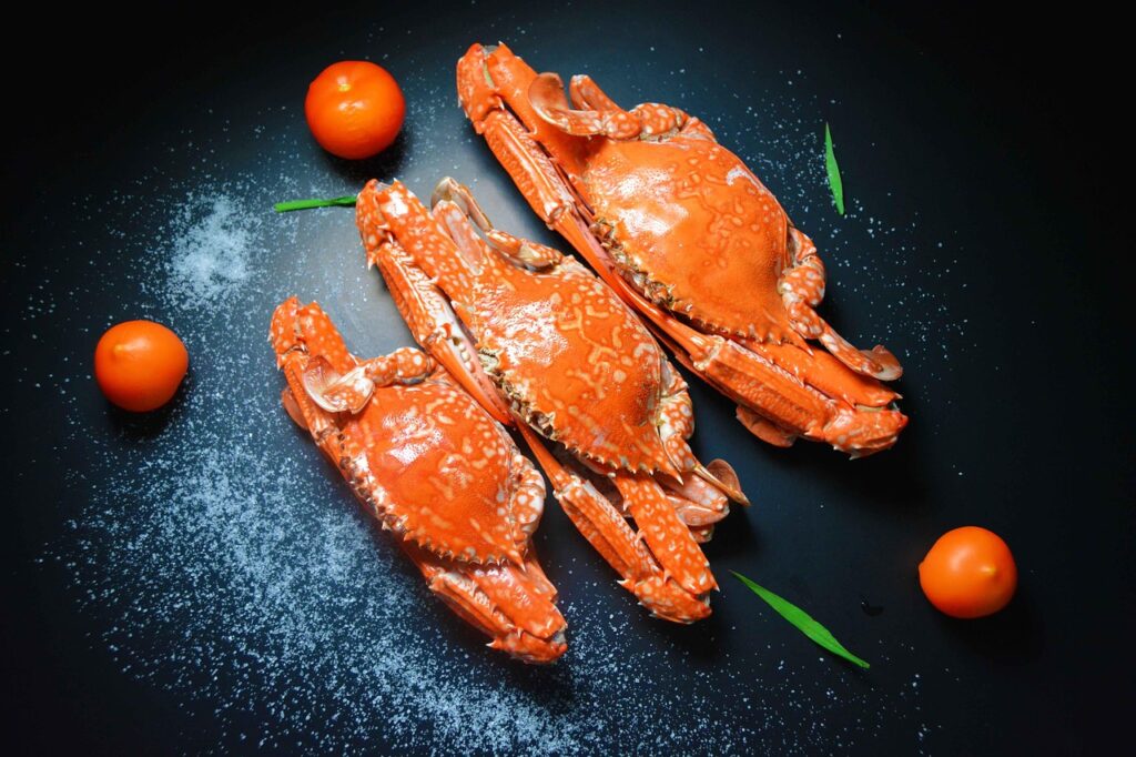 カニ通販で冷凍カニを使った美味しい料理の作り方は？