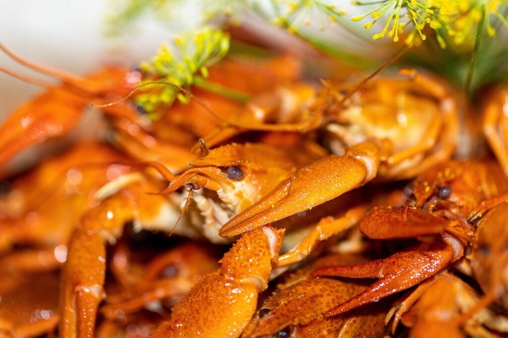 カニの通販で爪肉が美味しいお店はどこ？