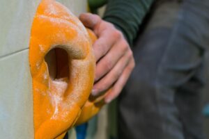 カニの選び方は初心者でも簡単にできる？